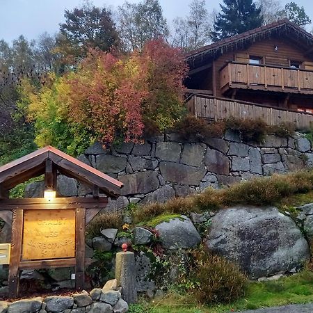 Chalet Typique Vosgien "Les Barbotines" Вантрон Екстер'єр фото