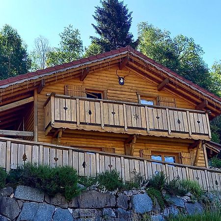 Chalet Typique Vosgien "Les Barbotines" Вантрон Екстер'єр фото