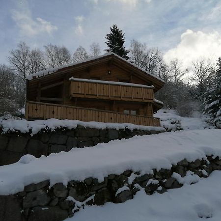 Chalet Typique Vosgien "Les Barbotines" Вантрон Екстер'єр фото