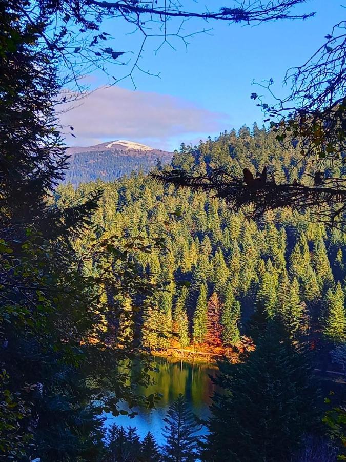 Chalet Typique Vosgien "Les Barbotines" Вантрон Екстер'єр фото