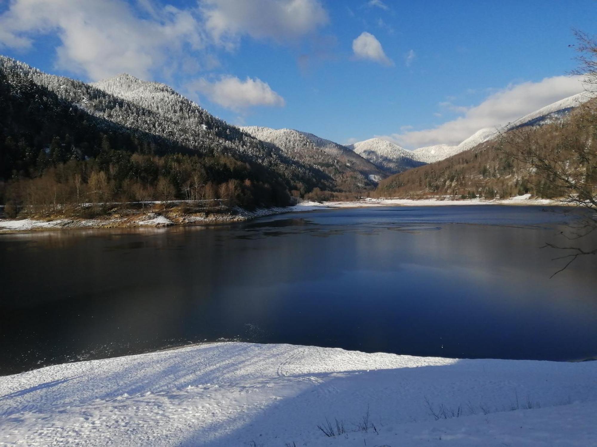 Chalet Typique Vosgien "Les Barbotines" Вантрон Екстер'єр фото